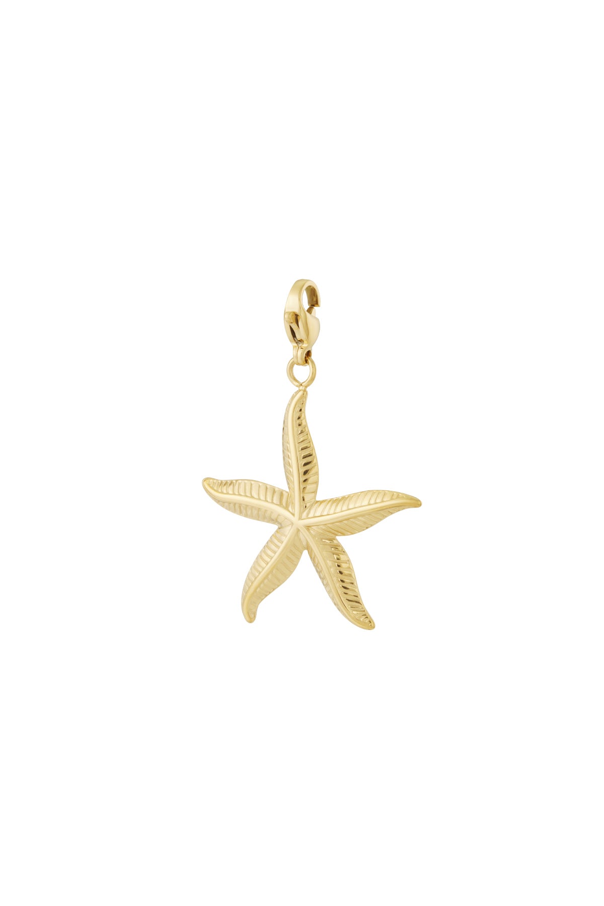 Golden Starfish Bedel – Stainless Steel B004