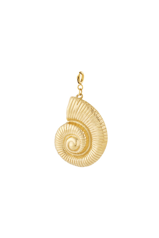 Golden Ocean Shell Bedel – Stainless Steel B001
